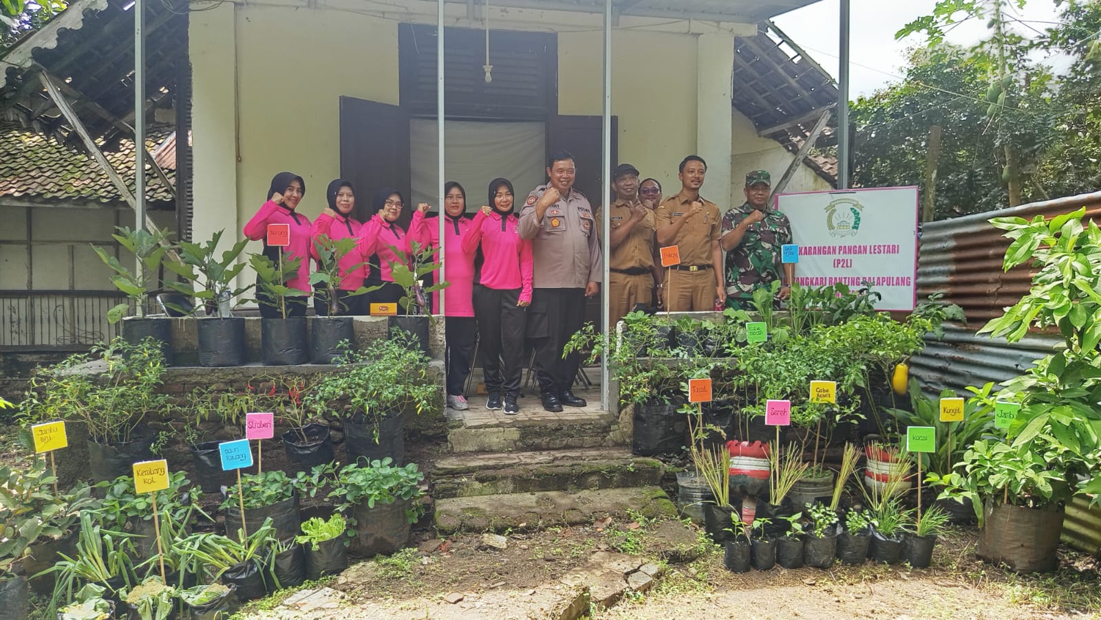 kegiatan-penguatan-program-pekarangan-pangan-lestari